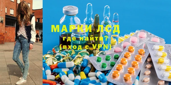 apvp Кукмор