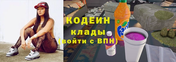 apvp Кукмор